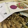 DIY - kleuren naturel met lichtjes - 30 cm - Afbeelding 3