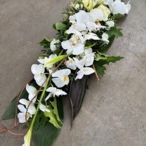 Stijlvol met Orchideeën